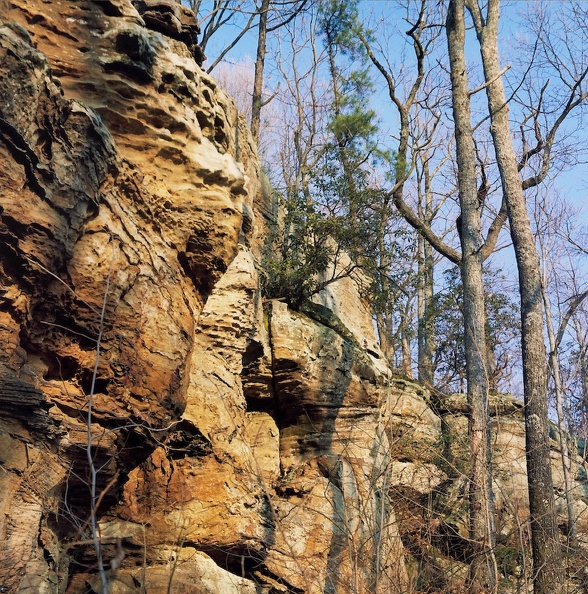 Sheltowee Trace sunset